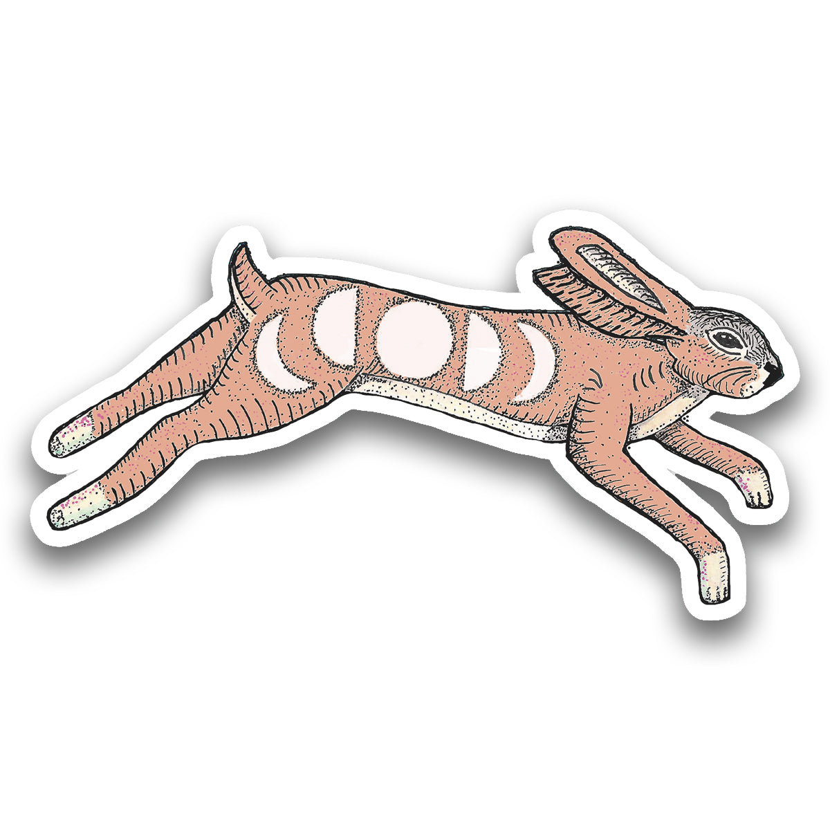 Magic Rabbit Sticker