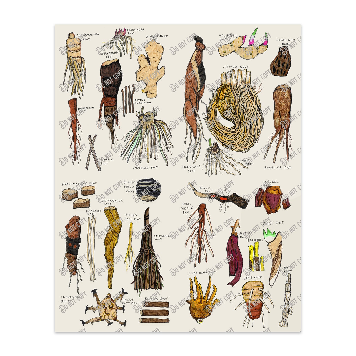 Roots Print - based on original drawing 16 x 20 inches