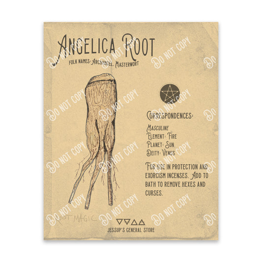 Angelica Root Illustration Art Print (DIGITAL DOWNLOAD)