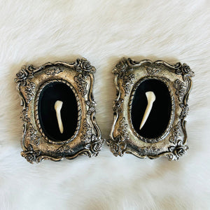 Framed Cow Tooth | Jessups General Store
