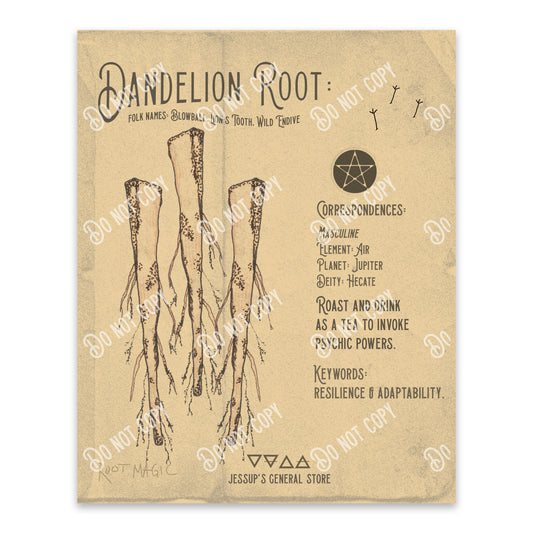 Dandelion Root Illustration Art Print (DIGITAL DOWNLOAD)