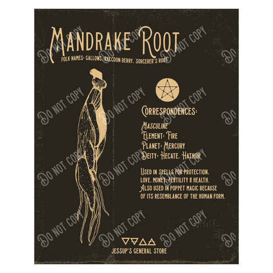 Mandrake Root Illustration Art Print (dark) (DIGITAL DOWNLOAD)