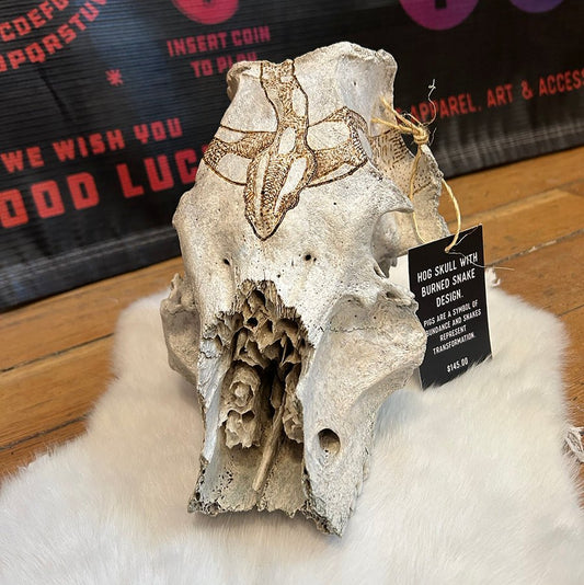 Hog Skull with Burned Snake Design | Jessups General Store