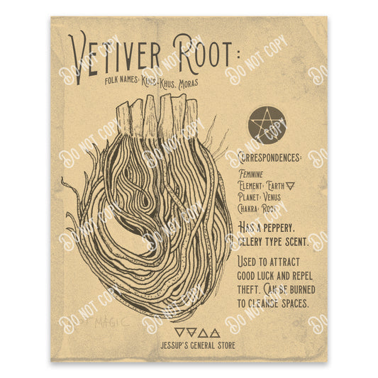 Vetiver Root Illustration Art Print (DIGITAL DOWNLOAD)