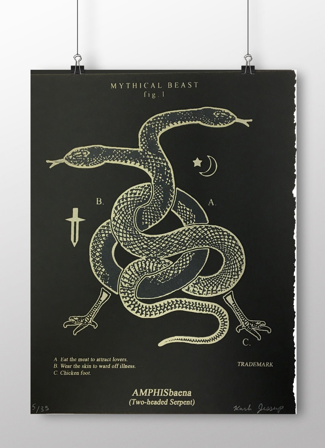 Amphisbaena Two Headed Snake Art